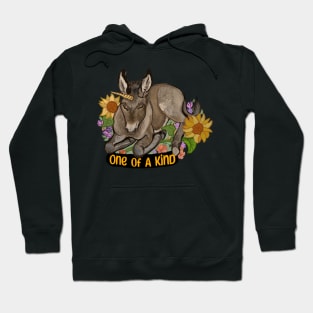 One of a Kind Unicorn Donkey Hoodie